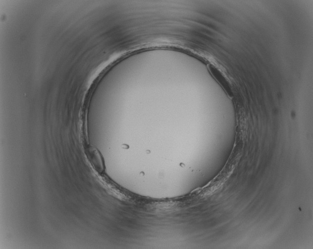 X0000071771134200607211525