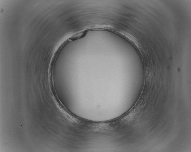 X0000071771135200607211525