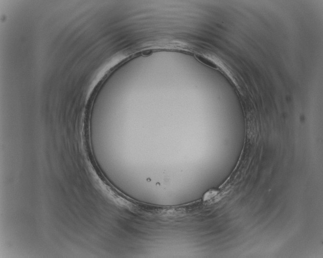 X0000071771139200607211525