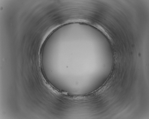 X0000071771140200607211525