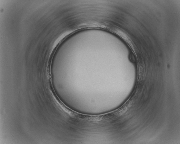 X0000071771141200607211525