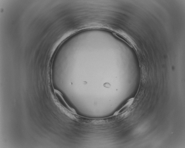 X0000071771142200607211525