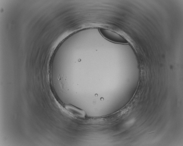 X0000071771143200607211525