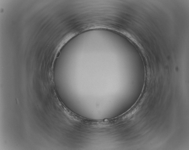 X0000071771145200607211525