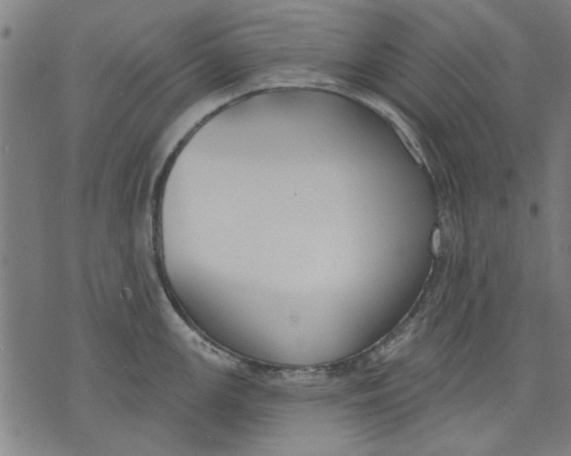 X0000071771147200607211525