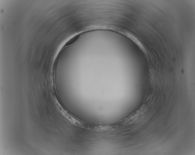 X0000071771148200607211525