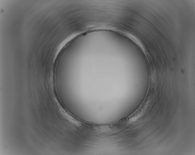 X0000071771149200607211525