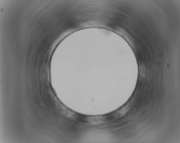 X0000071771150200607211525