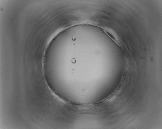 X0000071771151200607211525