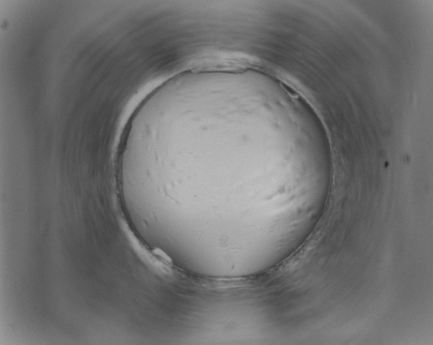 X0000071771152200607211525