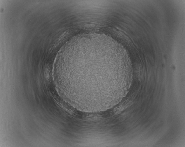 X0000071771154200607211525