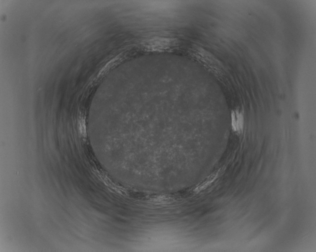 X0000071771155200607211525