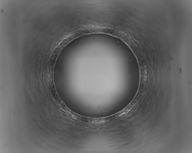 X0000071771157200607211525