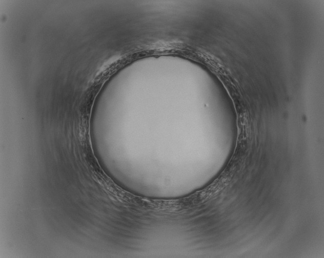 X0000071771158200607211525