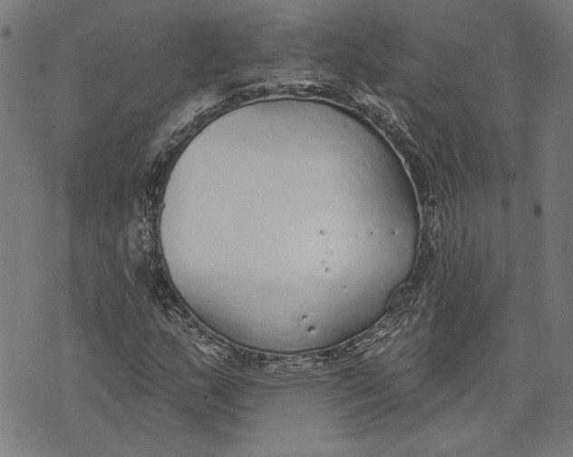 X0000071771159200607211525