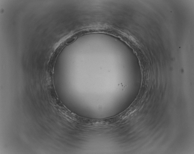 X0000071771160200607211525