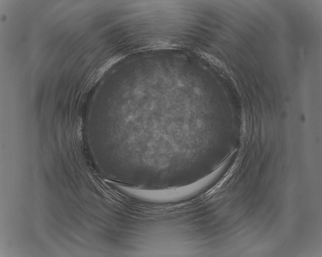 X0000071771161200607211525