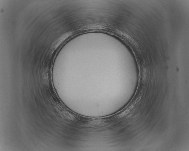 X0000071771162200607211525