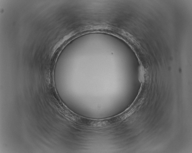 X0000071771165200607211524