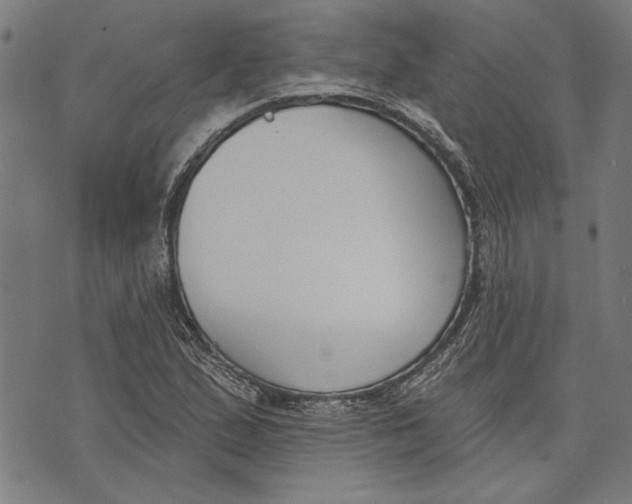 X0000071771167200607211524