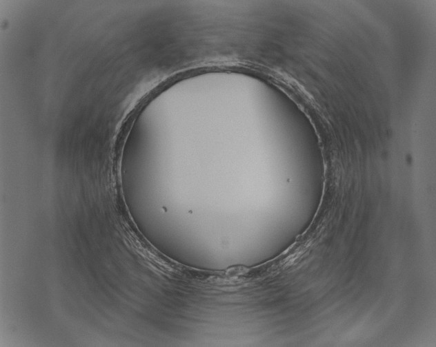 X0000071771168200607211524