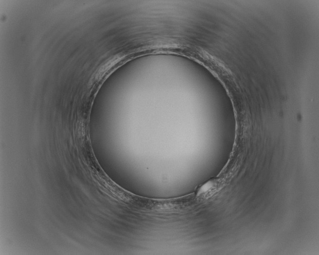 X0000071771169200607211524