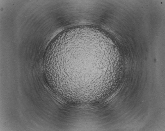 X0000071771170200607211524