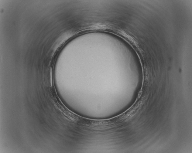 X0000071771171200607211524