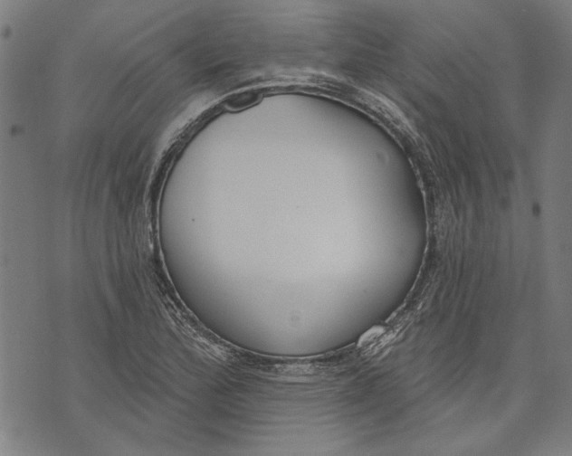 X0000071771172200607211524