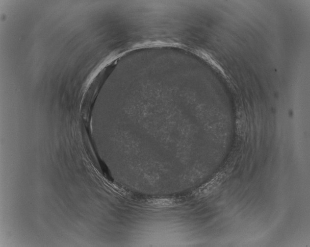 X0000071771173200607211524