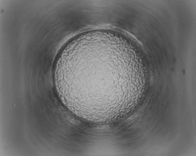 X0000071771174200607211524