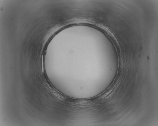 X0000071771175200607211524