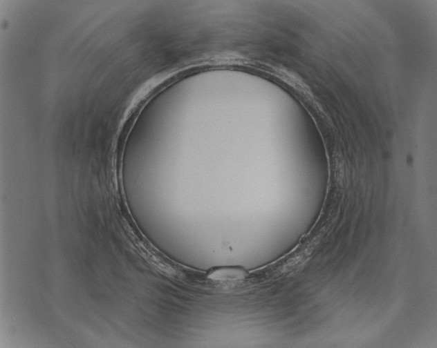 X0000071771176200607211524