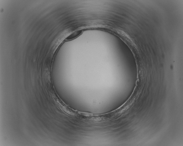 X0000071771177200607211524