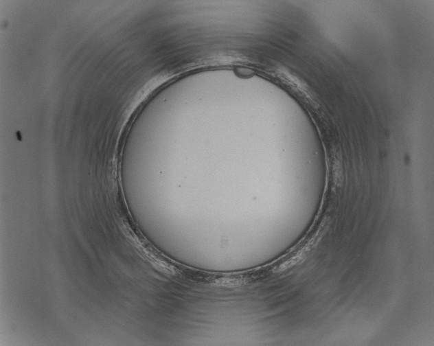 X0000071771178200607211524