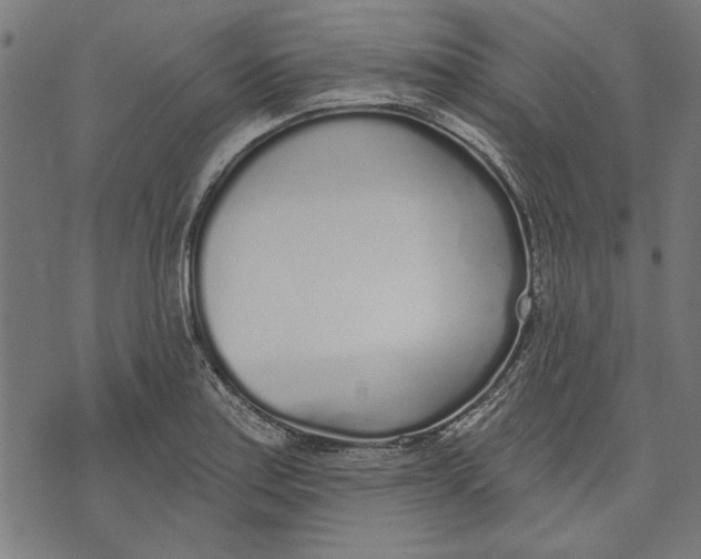 X0000071771179200607211524