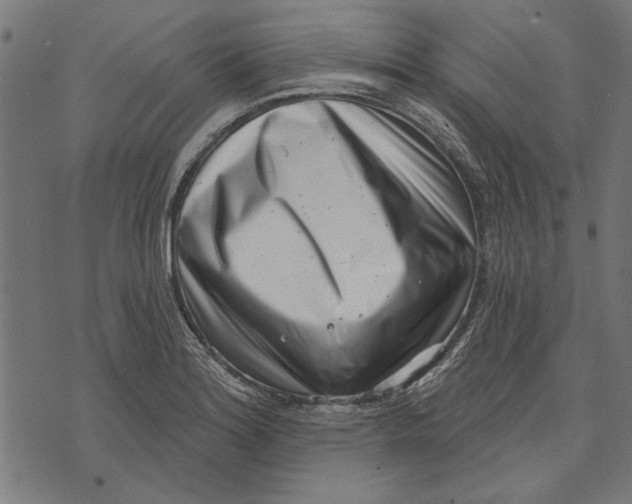 X0000071771180200607211524