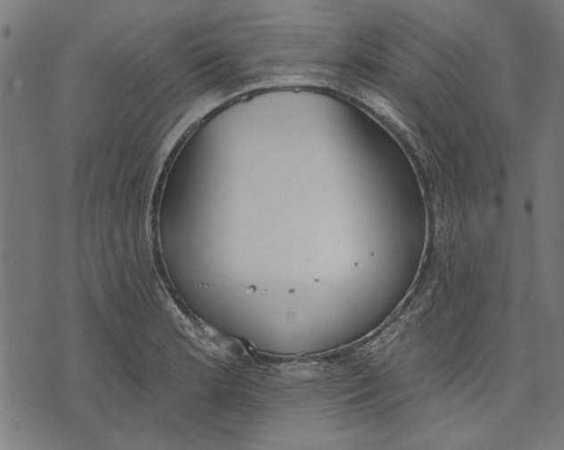 X0000071771181200607211524