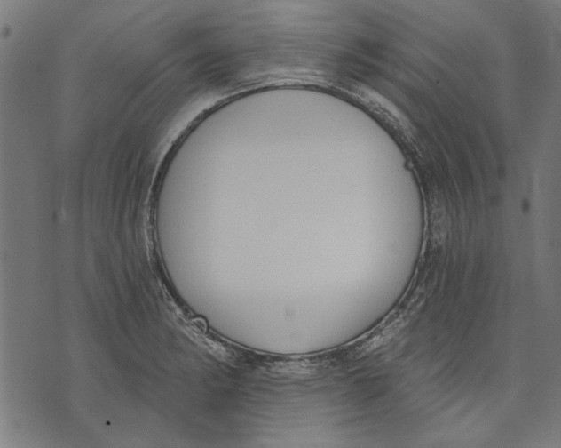 X0000071771182200607211524