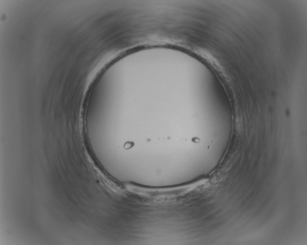 X0000071771183200607211524