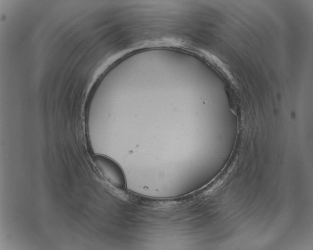 X0000071771184200607211524