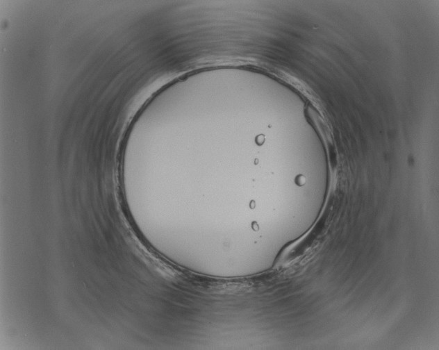 X0000071771187200607211524