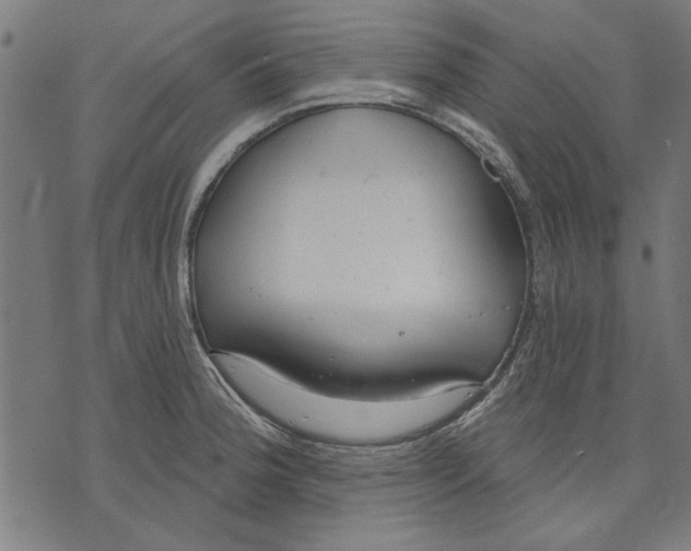 X0000071771188200607211524