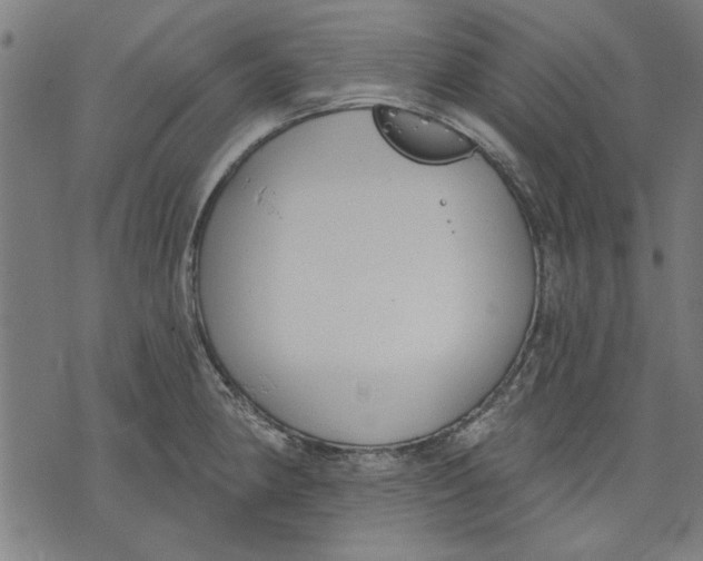 X0000071771190200607211524