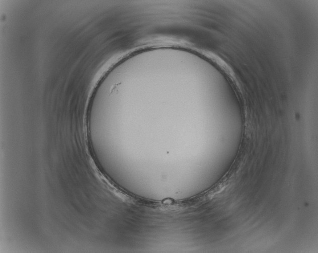 X0000071771191200607211524