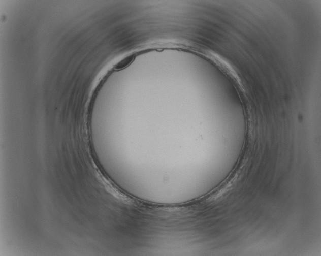 X0000071771192200607211524