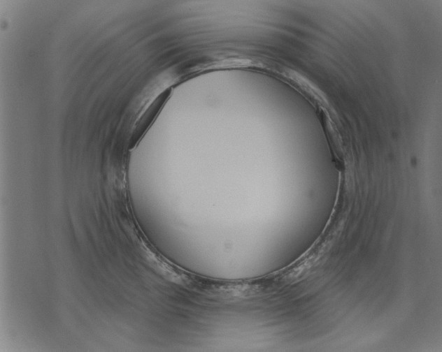 X0000071771193200607211524