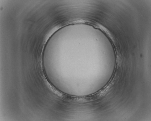 X0000071771194200607211524