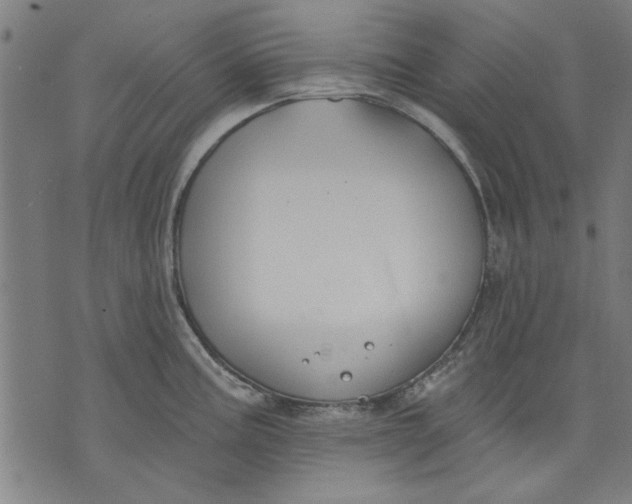 X0000071771195200607211524