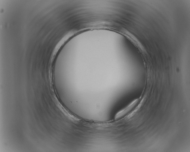 X0000071771196200607211524